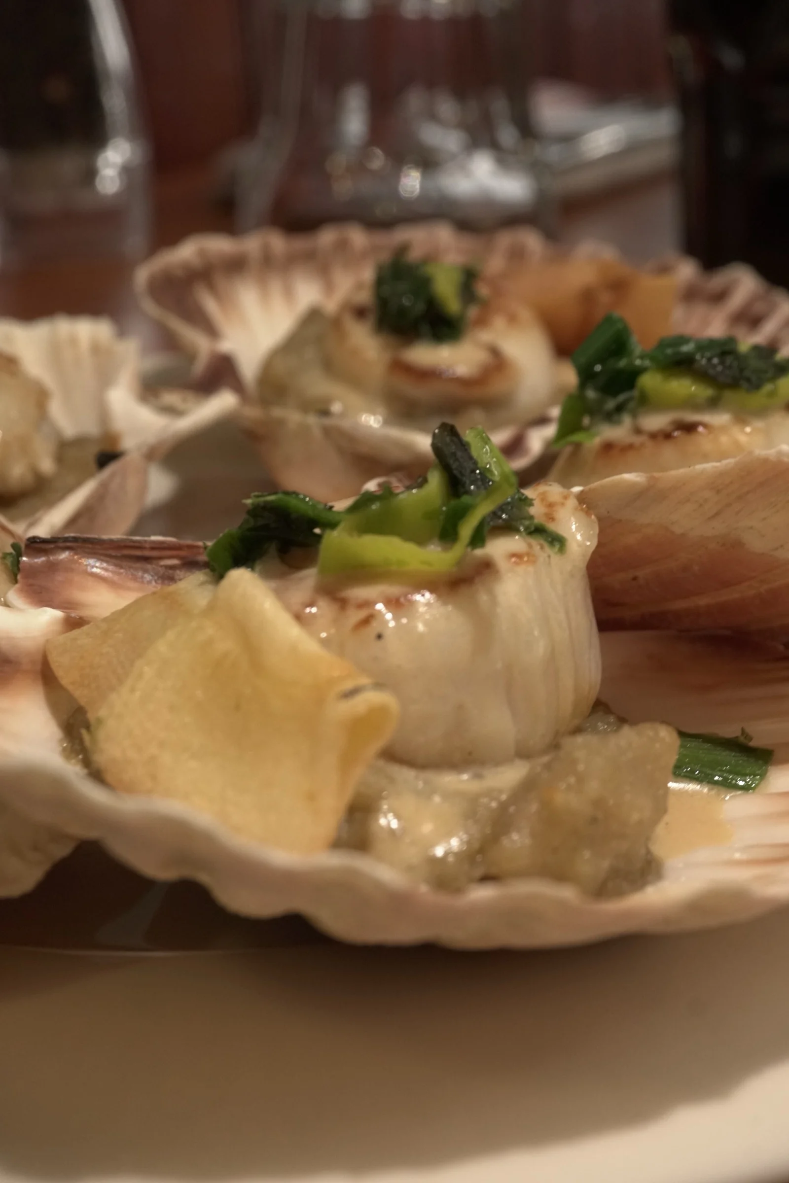 Coquilles Saint-Jacques gratinées aux herbes et aromates